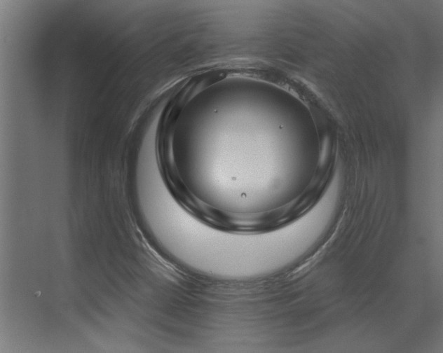 X0000074261402200608251214