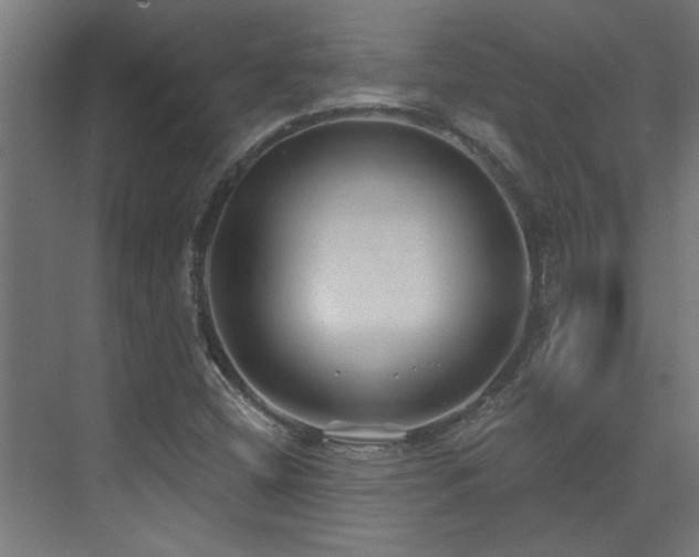 X0000074261404200608251214