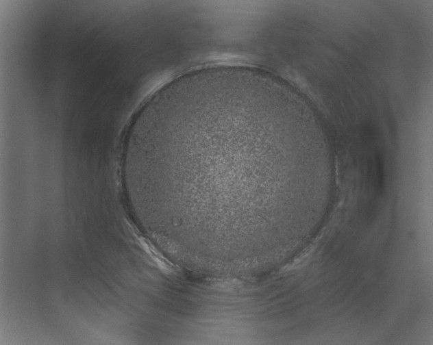 X0000074261405200608251214