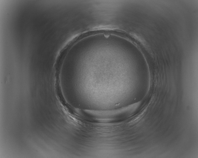 X0000074261406200608251214