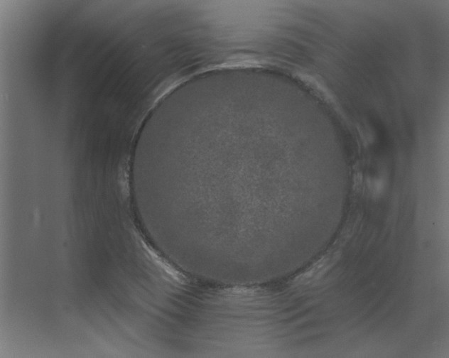 X0000074261409200608251214