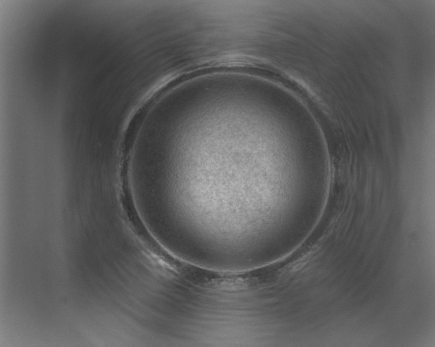 X0000074261410200608251214