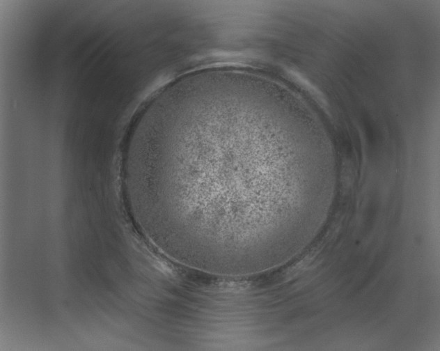 X0000074261411200608251214