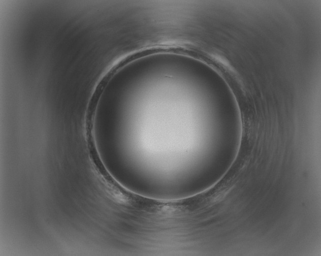 X0000074261412200608251214