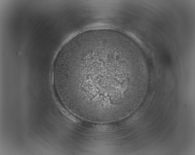 X0000074261413200608251214