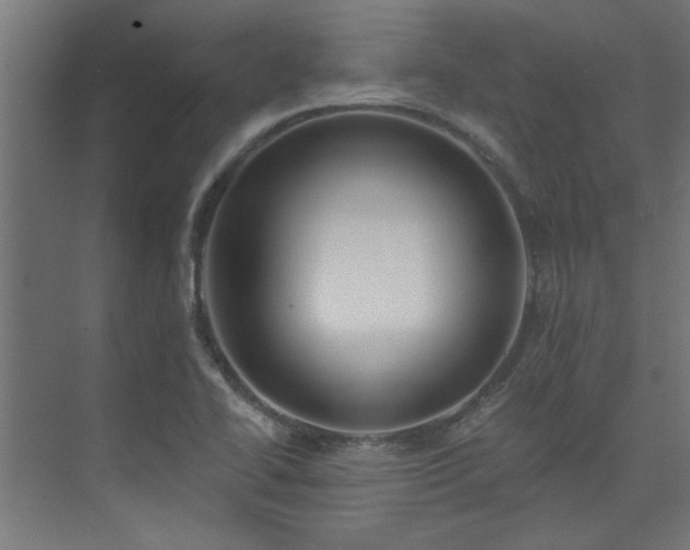 X0000074261414200608251214