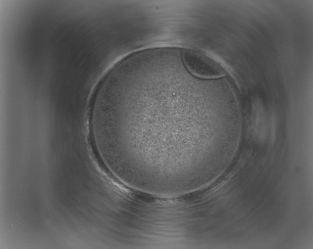 X0000074261415200608251214