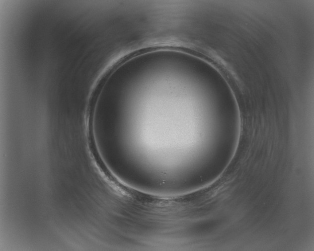 X0000074261416200608251214