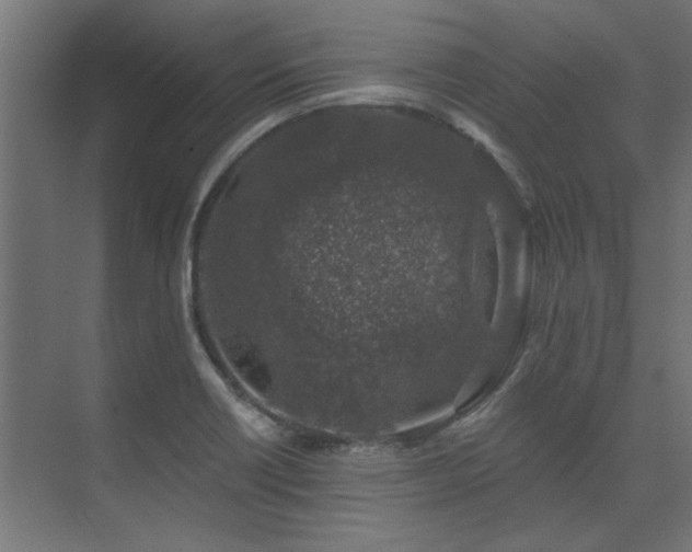 X0000074261418200608251214