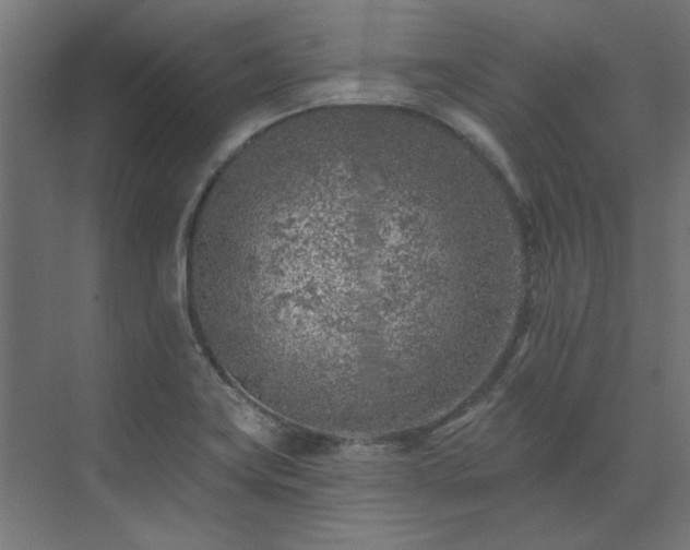 X0000074261419200608251214