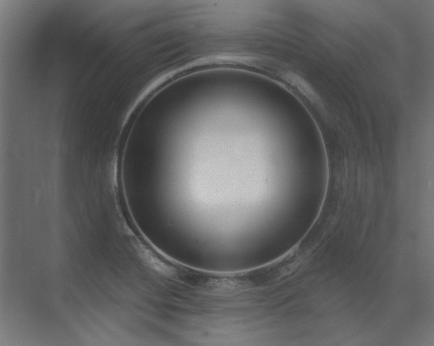 X0000074261420200608251214