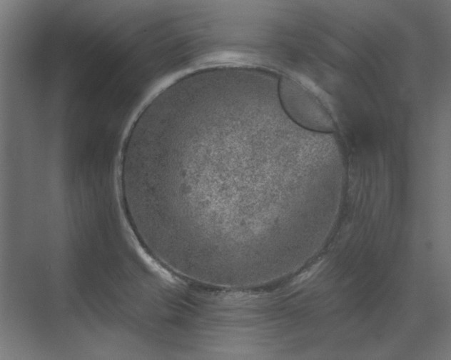 X0000074261421200608251214