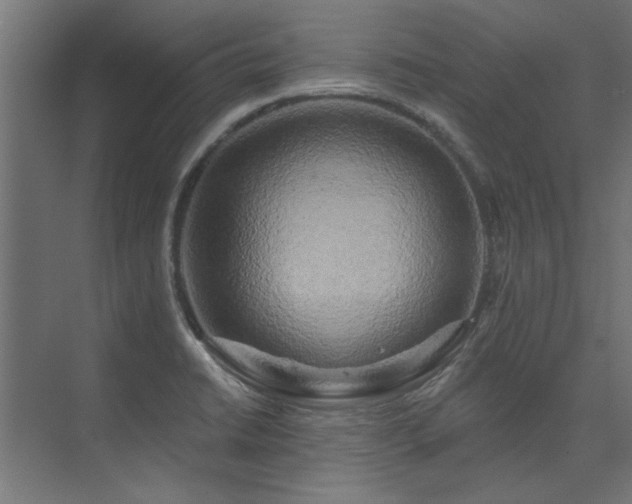 X0000074261422200608251214