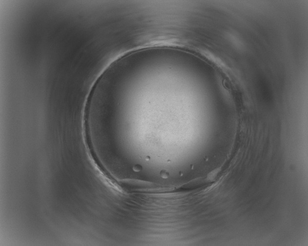 X0000074261423200608251214