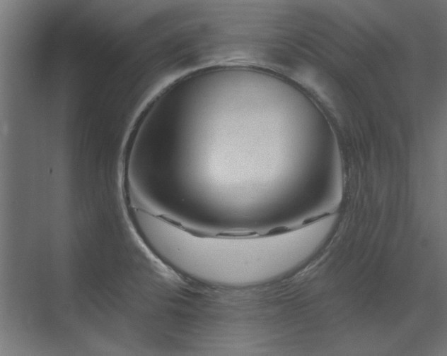 X0000074261424200608251214