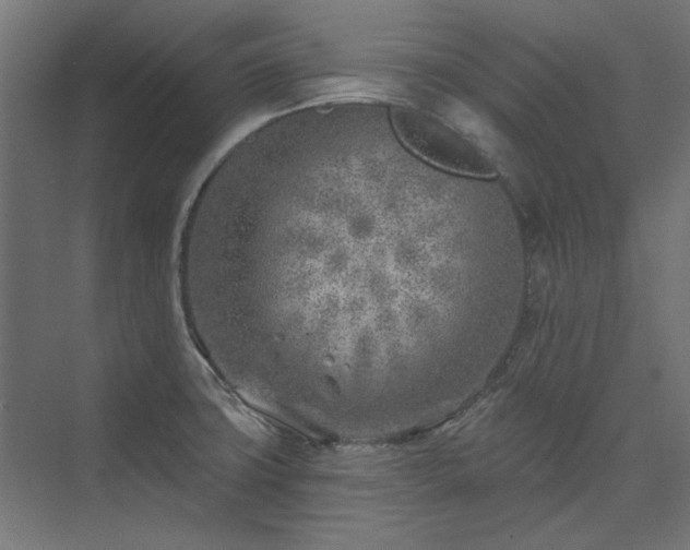 X0000074261427200608251214