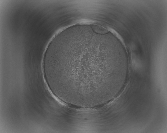 X0000074261429200608251214