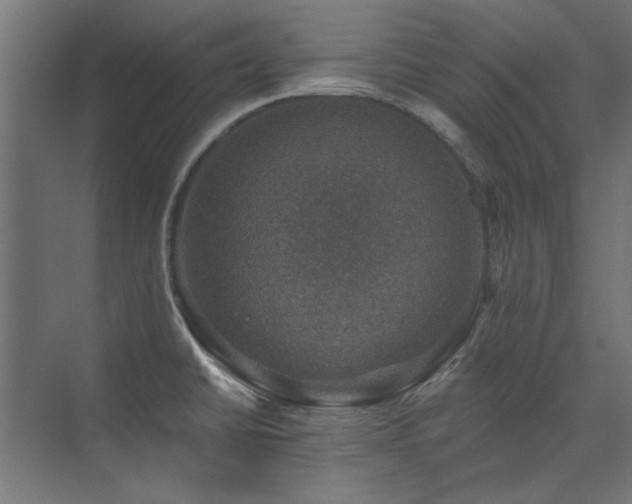 X0000074261430200608251214