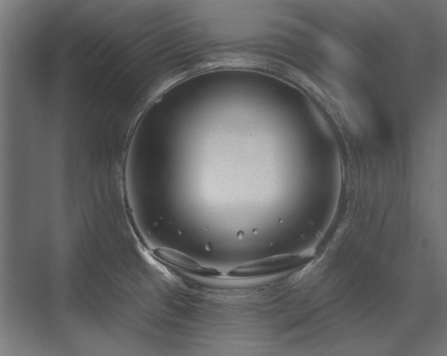 X0000074261433200608251214