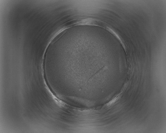 X0000074261434200608251214