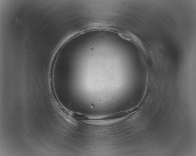 X0000074261435200608251214