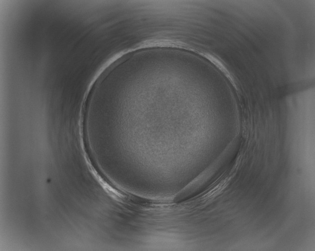 X0000074261438200608251214