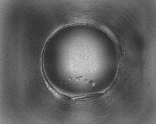 X0000074261439200608251214