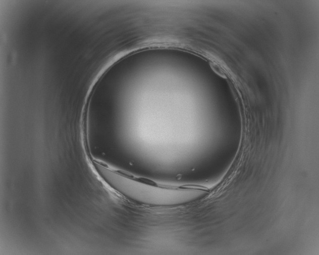 X0000074261440200608251214