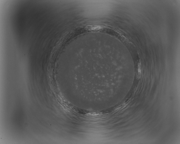 X0000074261441200608251214