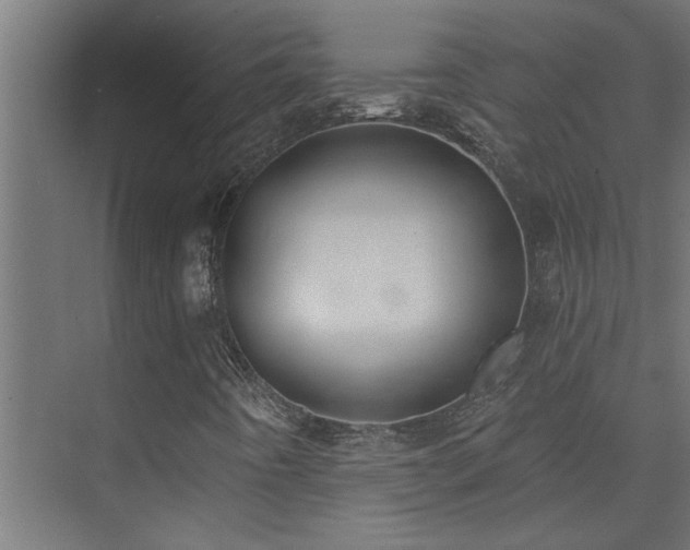 X0000074261442200608251214