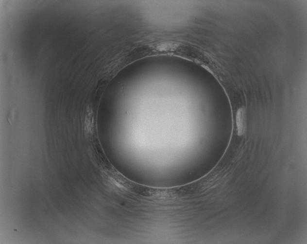 X0000074261443200608251214