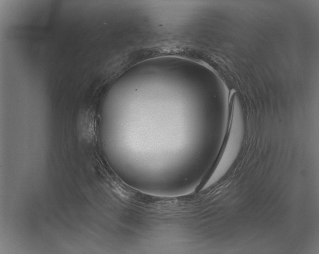 X0000074261444200608251214