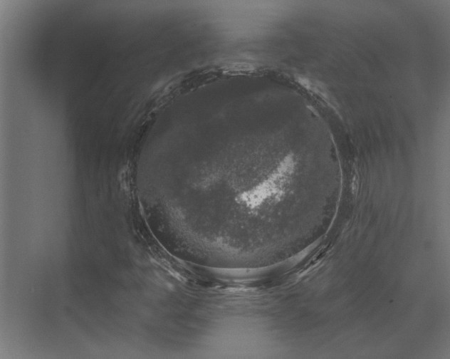 X0000074261445200608251214