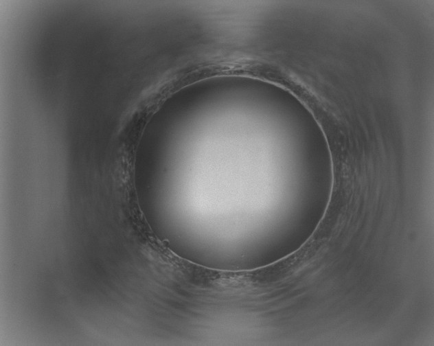 X0000074261447200608251214