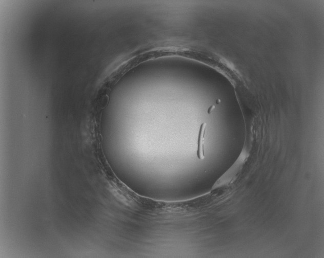 X0000074261448200608251214