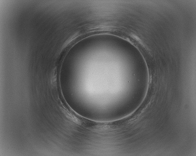 X0000074261450200608251214