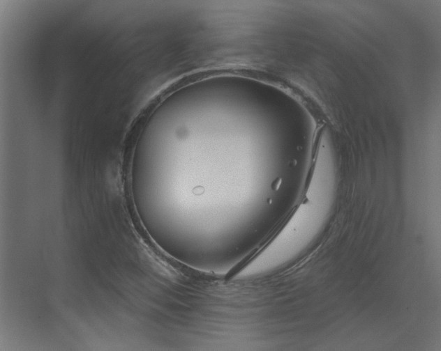 X0000074261452200608251213