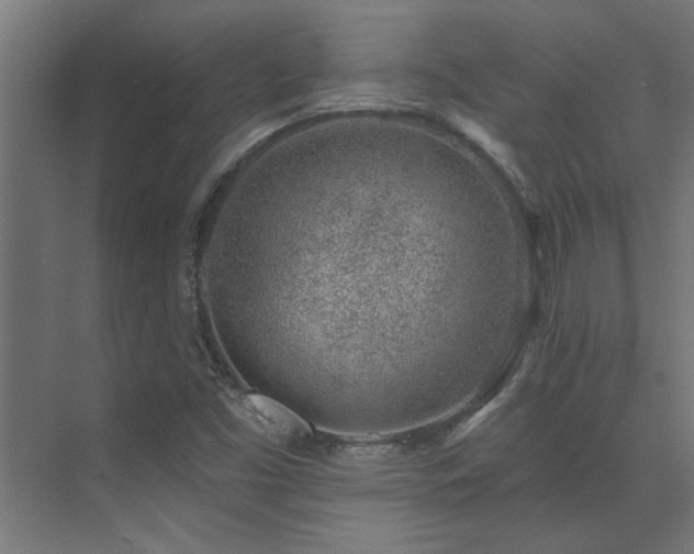 X0000074261453200608251213