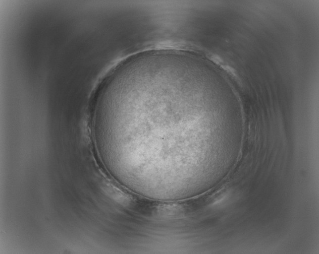 X0000074261454200608251213