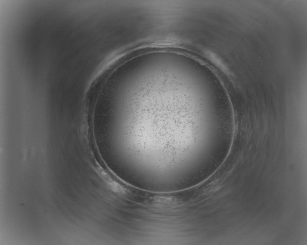 X0000074261456200608251213