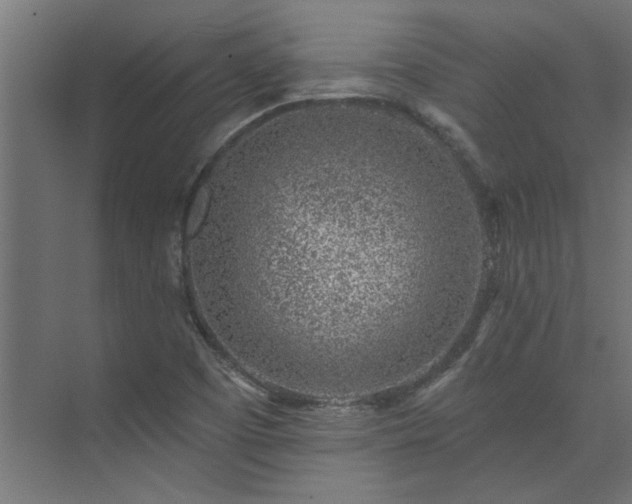 X0000074261457200608251213