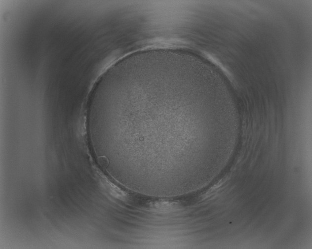 X0000074261459200608251213