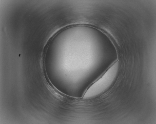 X0000074261460200608251213