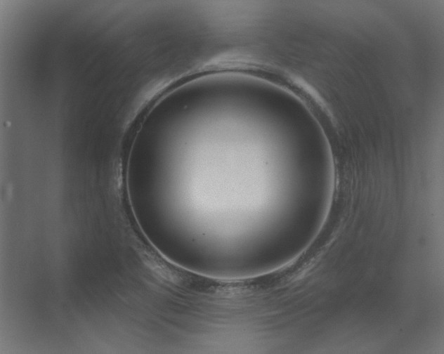 X0000074261461200608251213