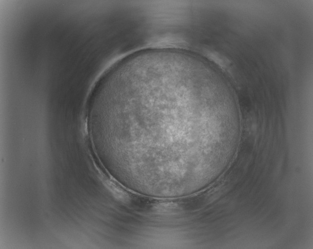 X0000074261462200608251213