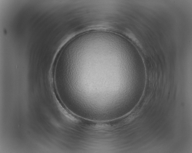 X0000074261466200608251213