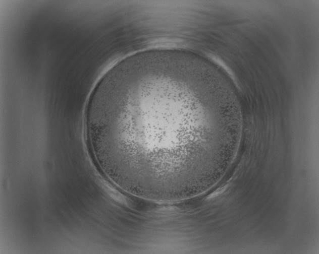 X0000074261467200608251213