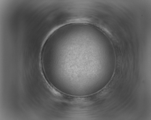 X0000074261470200608251213