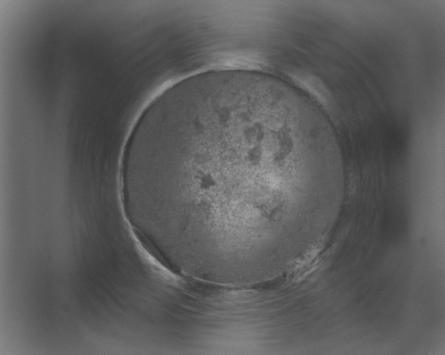 X0000074261471200608251213