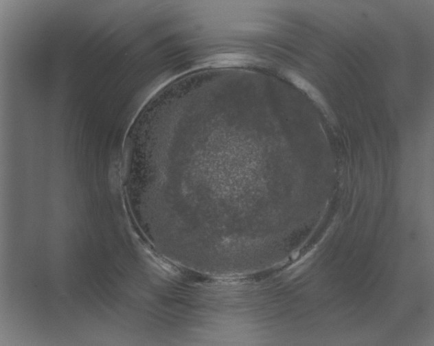 X0000074261473200608251213